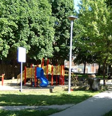 the playground